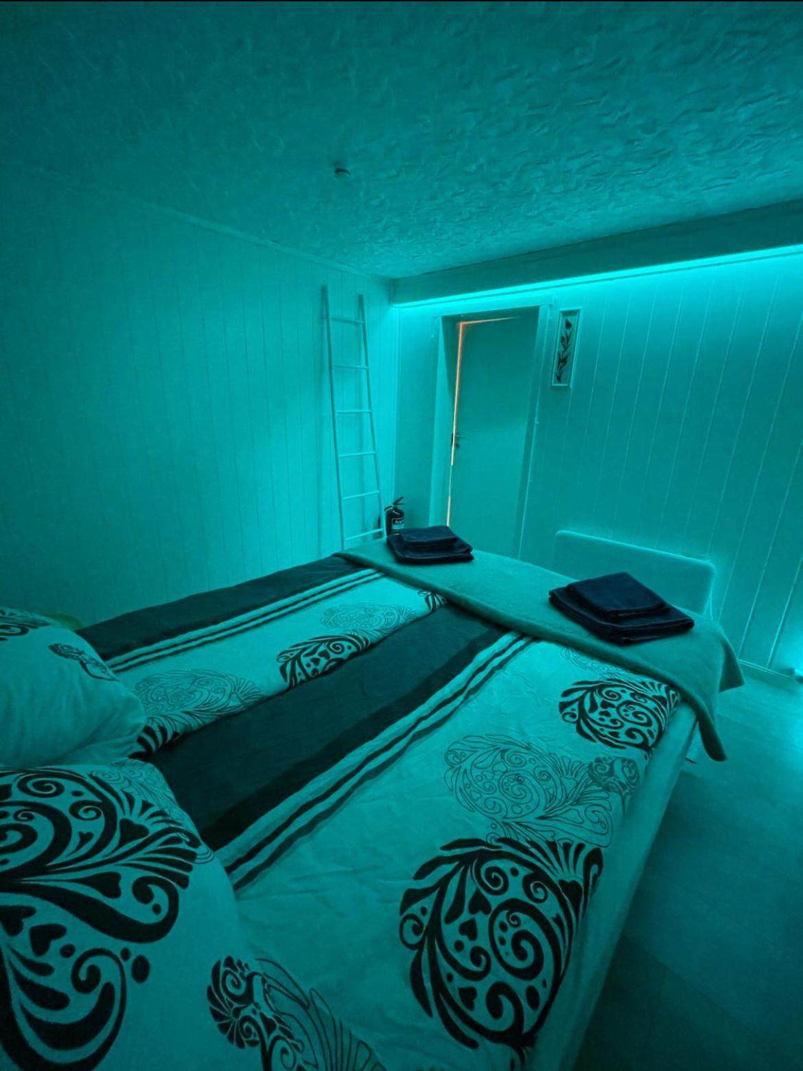 Aurora Dream Apartment Skjervoy
